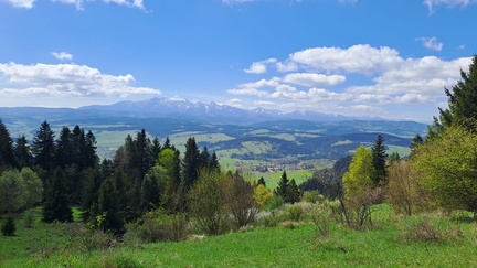 IMG-20250426-WA0023