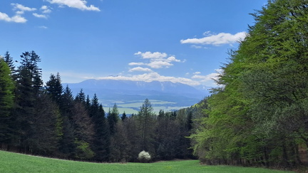 IMG-20250426-WA0028