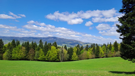 IMG-20250426-WA0027