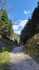 IMG-20250426-WA0029