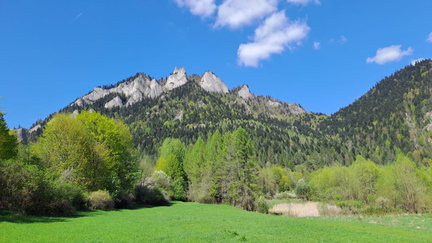 IMG-20250426-WA0030