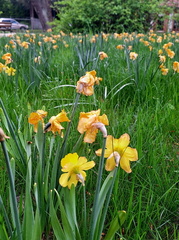 IMG-20250424-WA0025