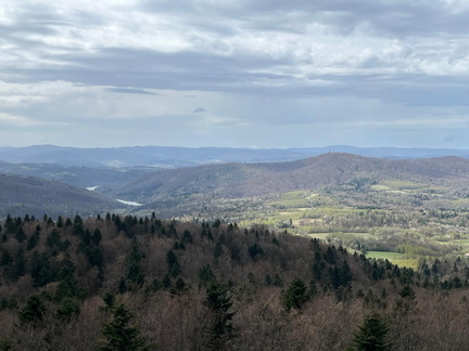 IMG-20250418-WA0016