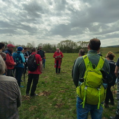 IMG-20250423-WA0015