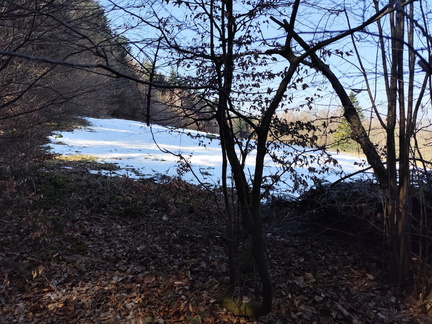 IMG-20250322-WA0014