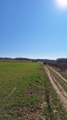 IMG-20250322-WA0107