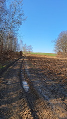 IMG-20250322-WA0111