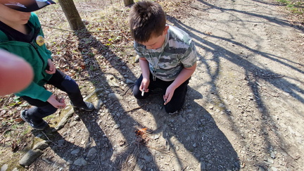IMG-20250322-WA0141