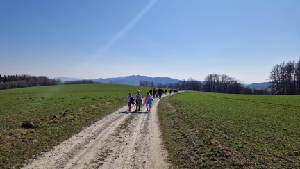 IMG-20250322-WA0146