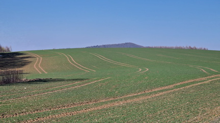 IMG-20250322-WA0147
