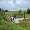 IMG-20250524-WA0041