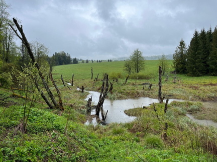 IMG-20250524-WA0041
