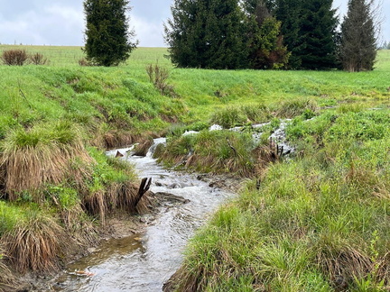 IMG-20250524-WA0054