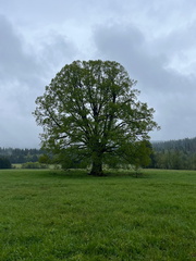 IMG-20250524-WA0055
