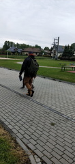 IMG-20250524-WA0077