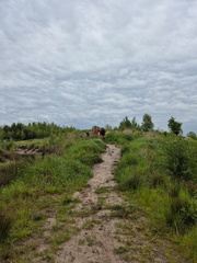 IMG-20250525-WA0006