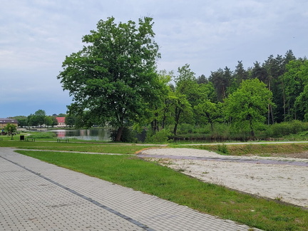 IMG-20250524-WA0013