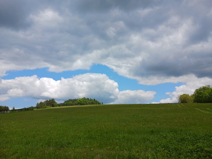 IMG-20250525-WA0007