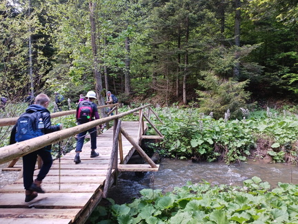 IMG-20250525-WA0008