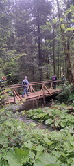 IMG-20250525-WA0034