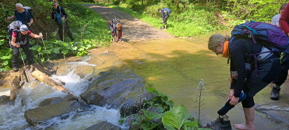 IMG-20250525-WA0035