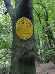 IMG-20250525-WA0020