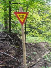 IMG-20250525-WA0027