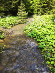 IMG-20250525-WA0030