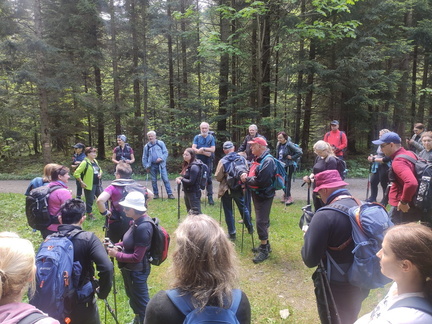 IMG-20250525-WA0029