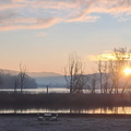 IMG-20241208-WA0000