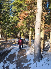 IMG-20241208-WA0028