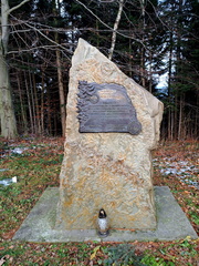 IMG-20241208-WA0042