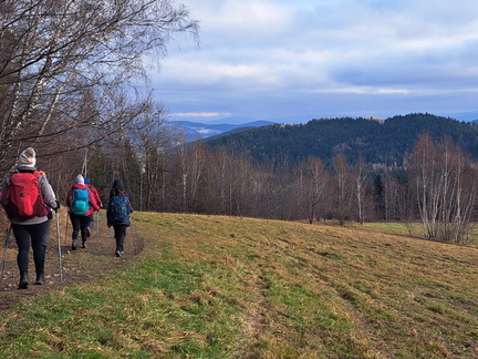 IMG-20241208-WA0044