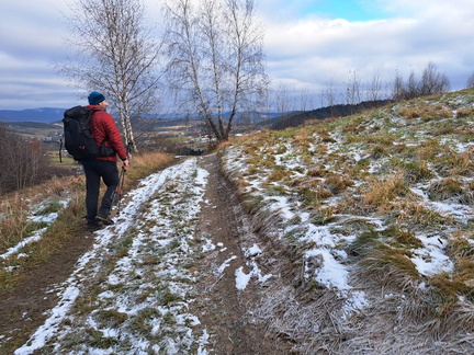 IMG-20241208-WA0047