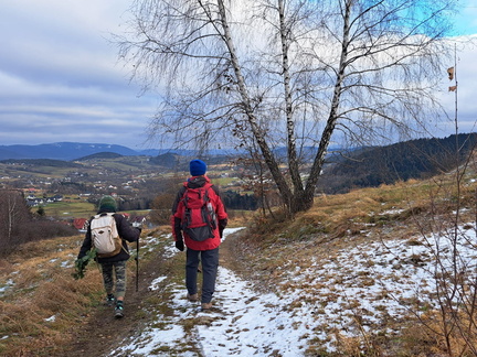 IMG-20241208-WA0049