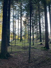 IMG-20241208-WA0020