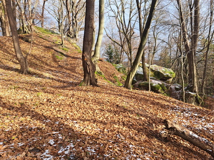 IMG-20241215-WA0052