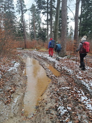 IMG-20241215-WA0058