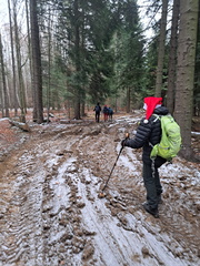 IMG-20241215-WA0057