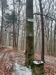 IMG-20241215-WA0060