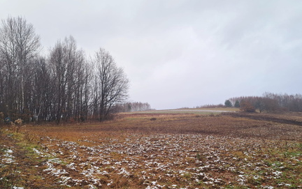 IMG-20241215-WA0061
