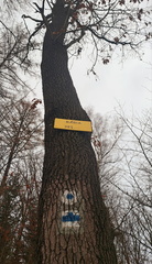 IMG-20241215-WA0062