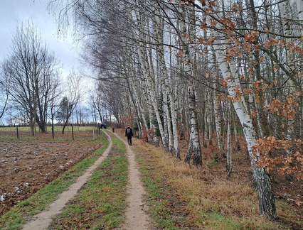 IMG-20241215-WA0064