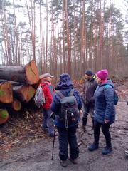 IMG-20250109-WA0002