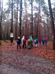 IMG-20250109-WA0006