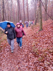 IMG-20250109-WA0009