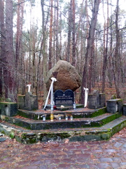 IMG-20250109-WA0013