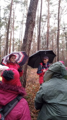 IMG-20250109-WA0015