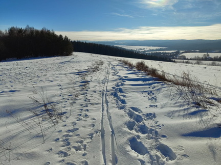 IMG-20250119-WA0011