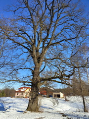 IMG-20250119-WA0012